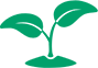 Botanical Source